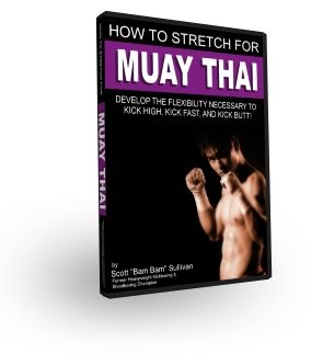 Set of Muay Thai Training DVD Videos MMA Martial Arts  