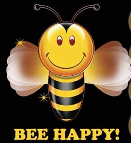 SMILEY FACE BEE HAPPY FUNNY T SHIRT HAPPY FACE YL 3X  