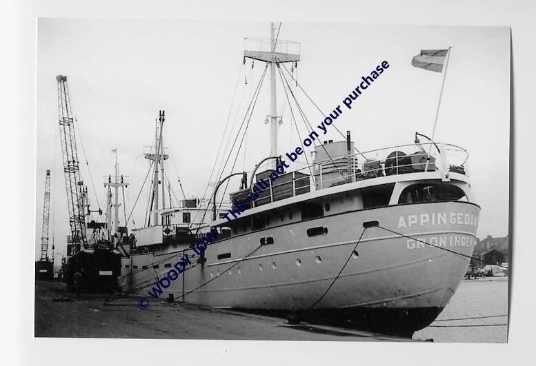 rp5641   Dutch Coaster   Appingedam , built 1949   photo 6x4  