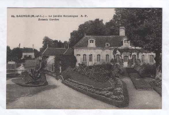 FRANCE SAUMUR LE JARDIN BOTANIQUE CPA POSTCARD  