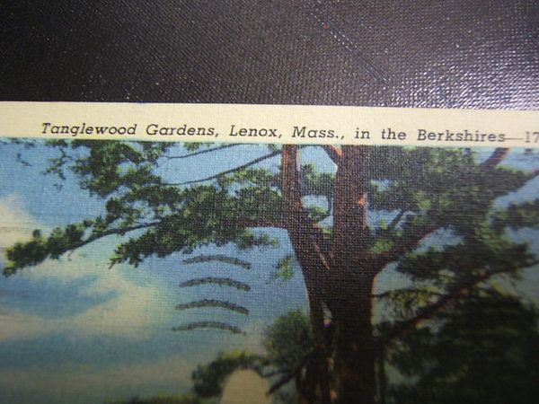 Postcard Tanglewood Gardens Lenox Mass. Used 1951  