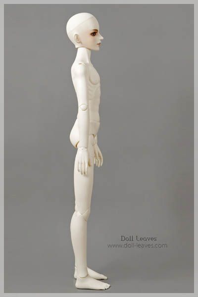   Doll Leaves 1/3 male BODY SUPER DOLLFIE size bjd SD Ball Jointed Doll