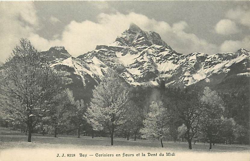 FRANCE BEX DENT DU MIDI CHERRY BLOSSOMS T77589  