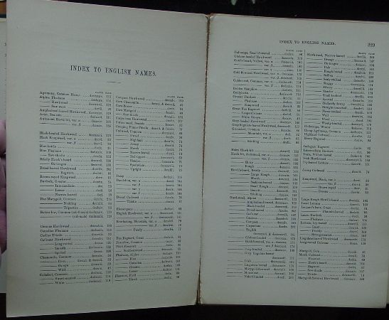 1888 Sowerby ENGLISH BOTANY 183 H/C Plates COMPOSITAE  