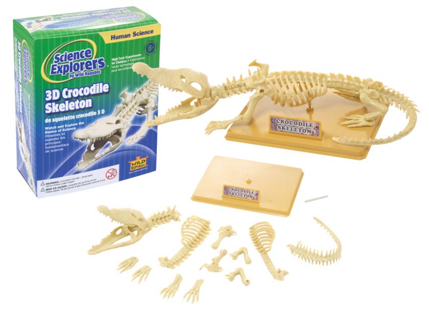   SKELETON~WILD REPUBLIC SCIENCE KIT ages 8+ 092389860214  