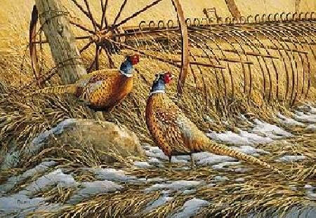 Rosemary Millette Print HEARTLAND PHEASANTS S/N COA  