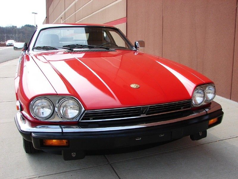 Jaguar  XJS in Jaguar   Motors