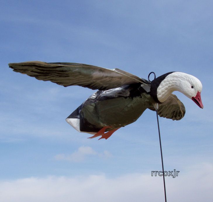   DECOYS BLUE SNOW GOOSE FLYER FLAPPER FLYING LANDING MOTION DECOY NEW