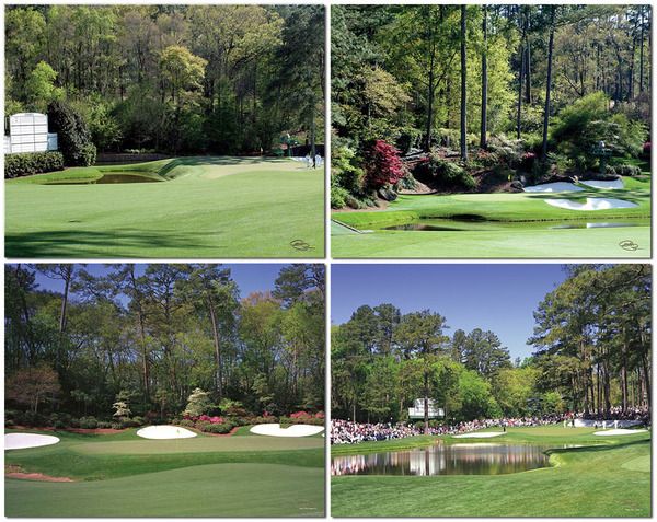 Masters Augusta Golf Amen Corner 4 Photos Golden Bell Azalea Redbud 