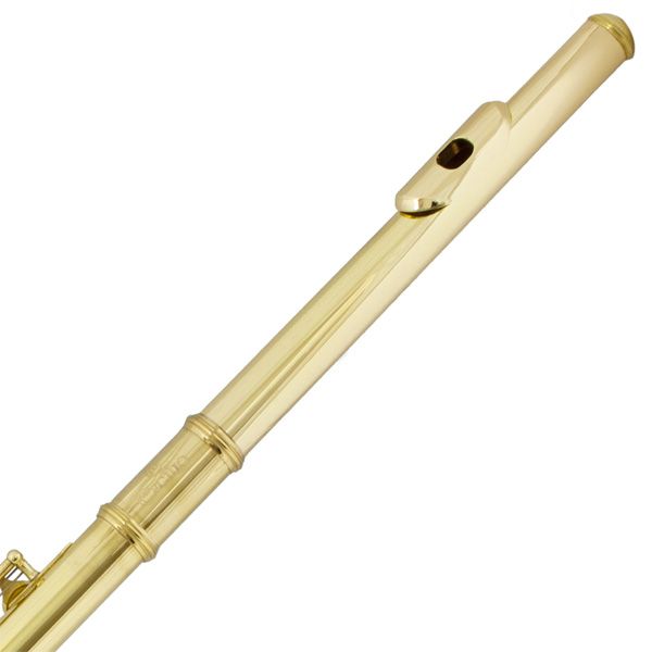 NEW GOLD LACQUER C FLUTE Split E +Case +Care Kit +$39 Tuner   Teachers 