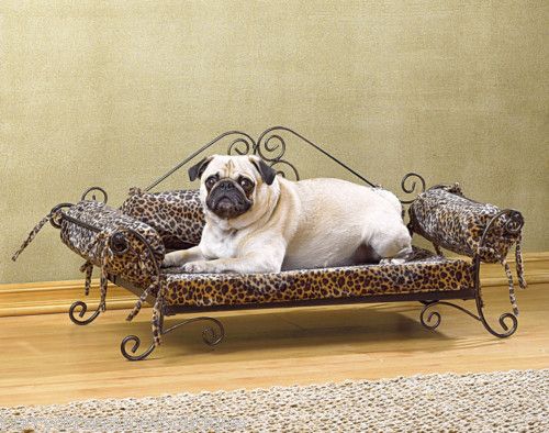 Safari Leopard Print Cushions Metal Frame Pet Dog Bed  